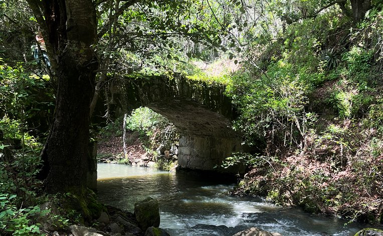 Aventura en la naturaleza