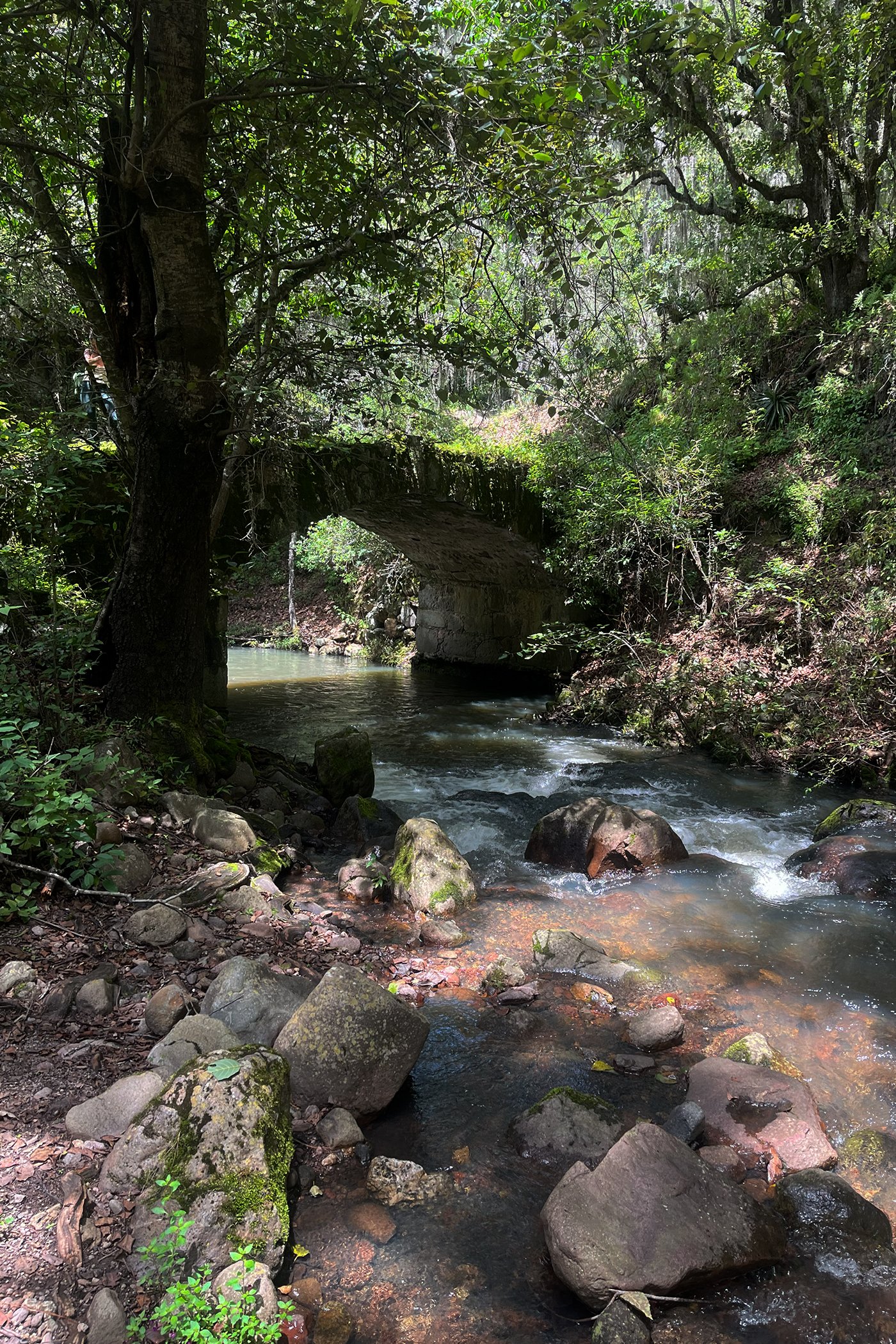 Lachatao