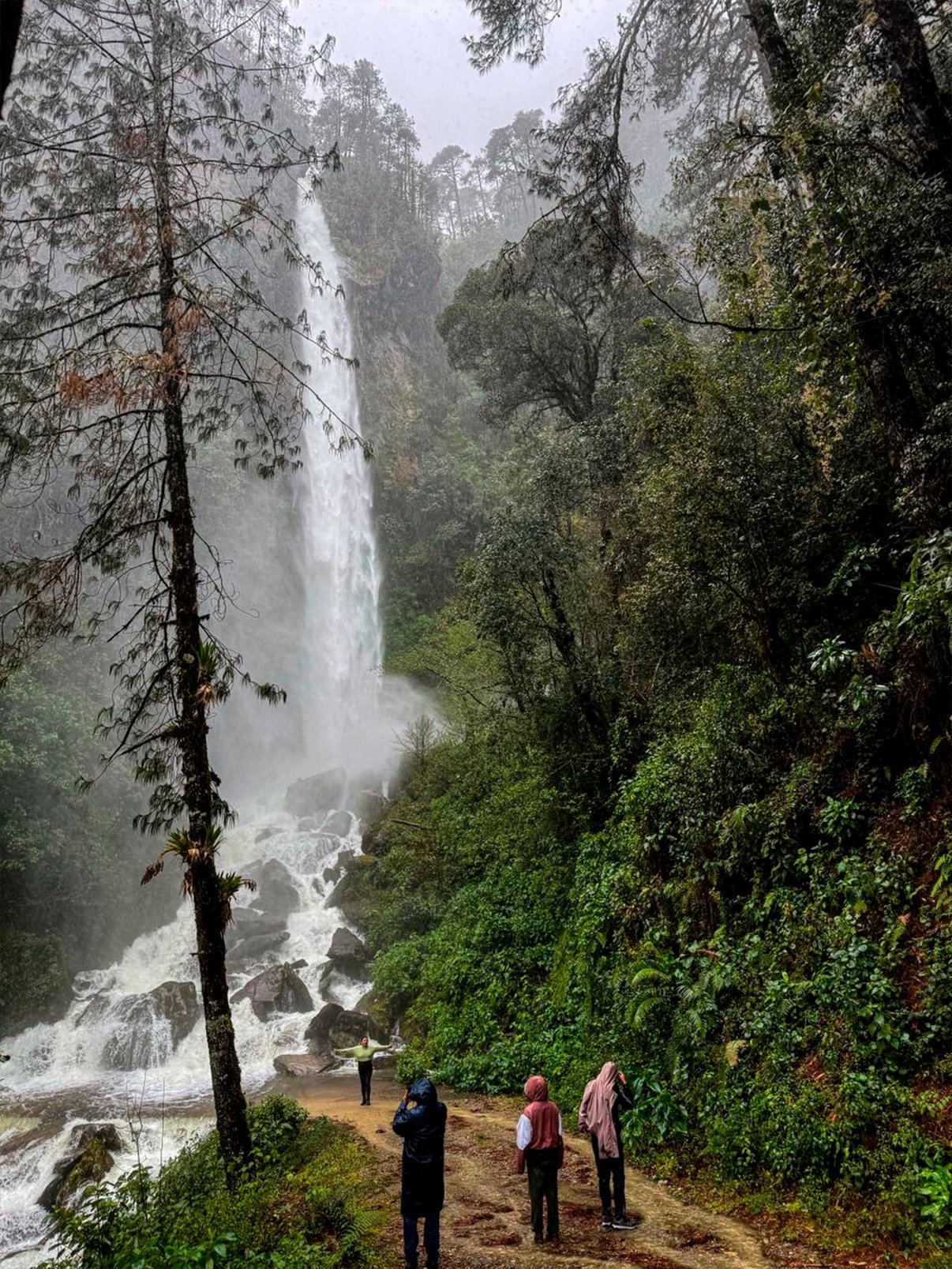 Cascada La Niebla