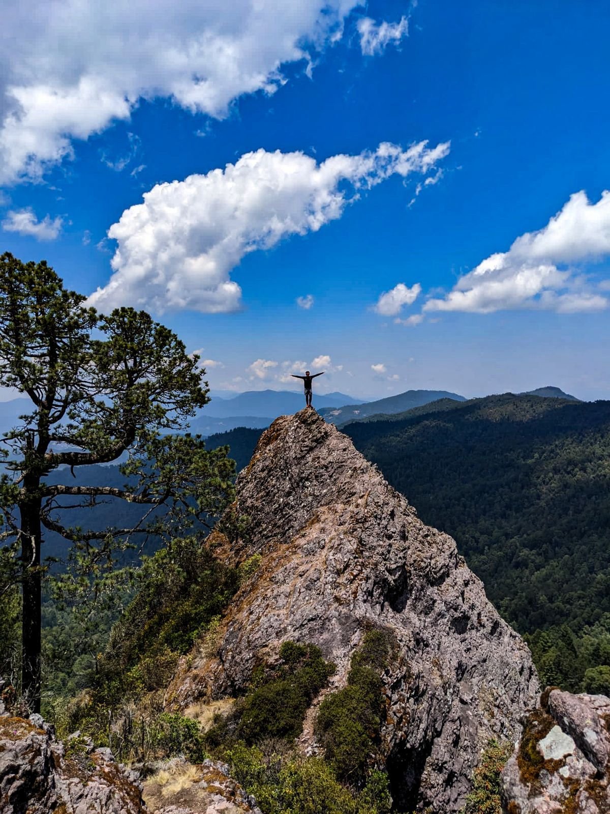 Aventura en la naturaleza