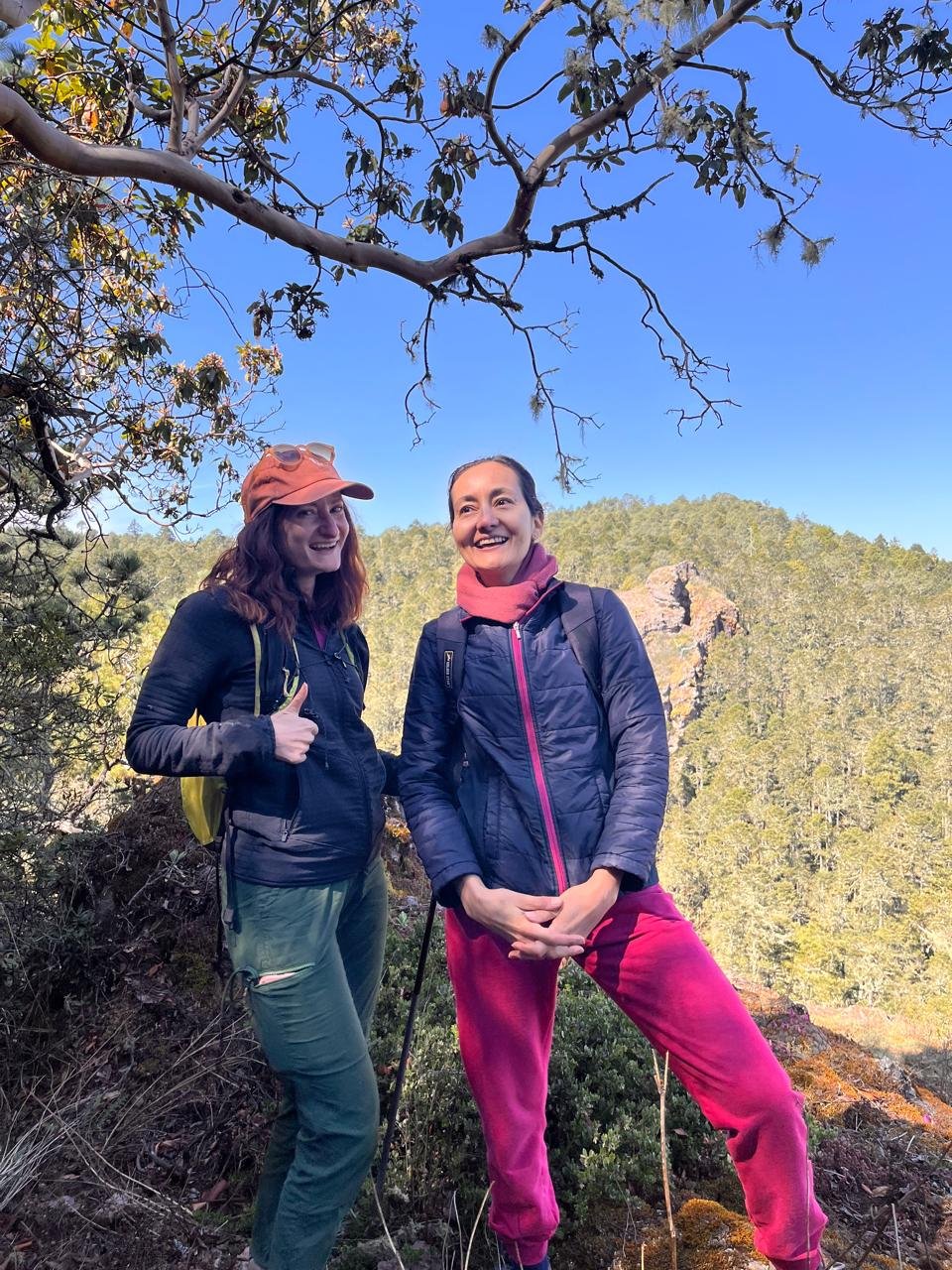 Senderismo en montañas