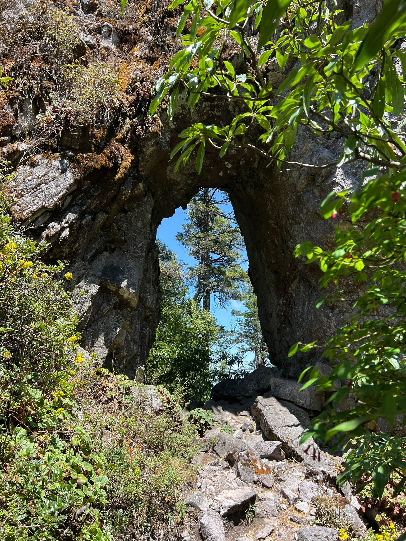 Senderismo en montañas